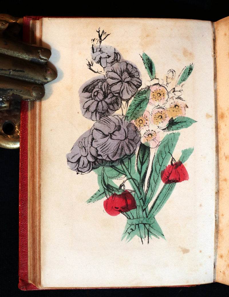 1847 Scarce Floriography Book ~ The Language Of Flowers, Complete Flora's Album with coloured plates.