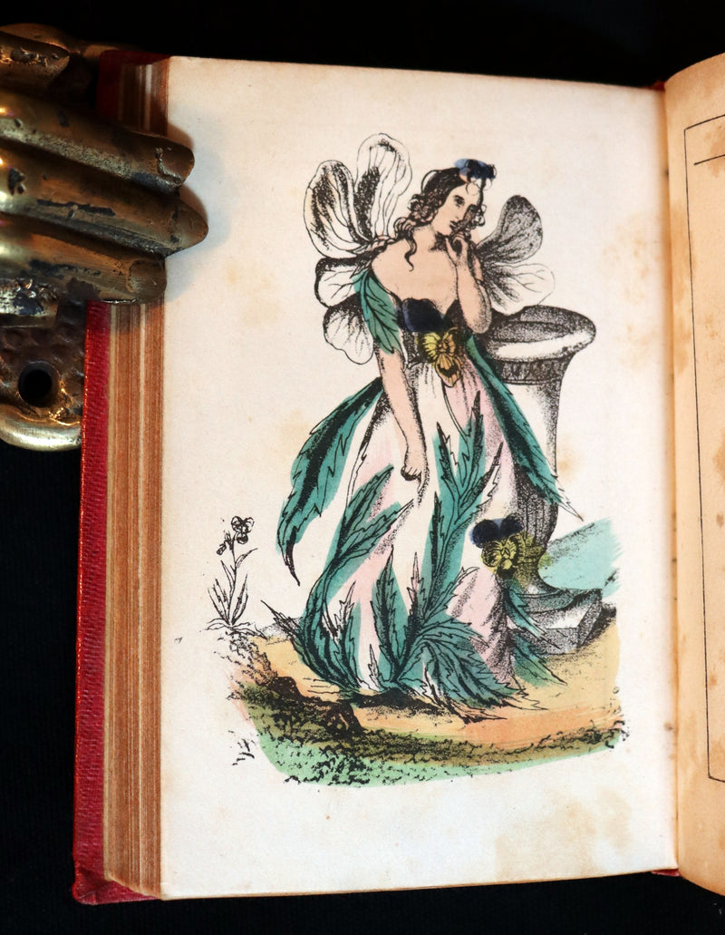 1847 Scarce Floriography Book ~ The Language Of Flowers, Complete Flora's Album with coloured plates.