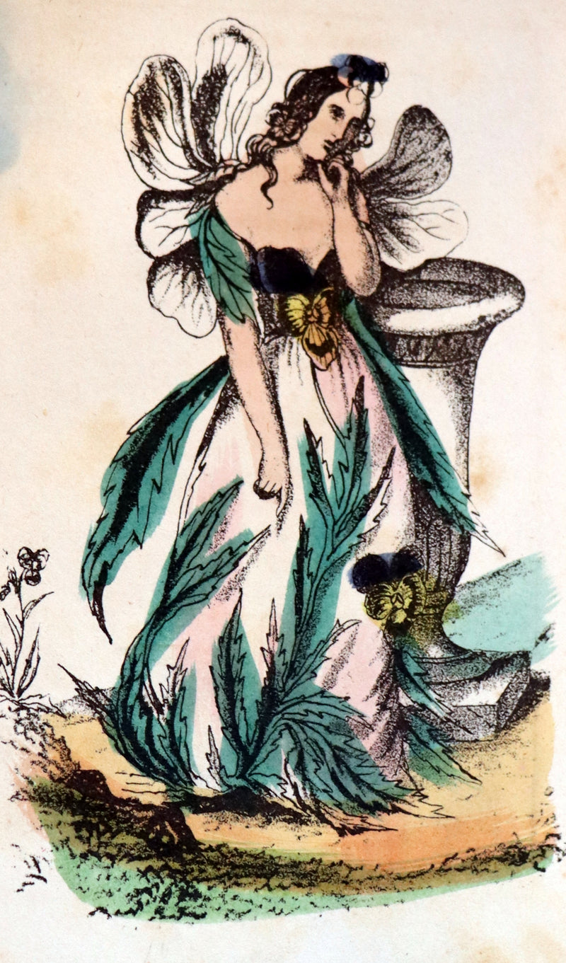 1847 Scarce Floriography Book ~ The Language Of Flowers, Complete Flora's Album with coloured plates.