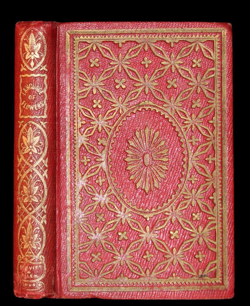 1847 Scarce Floriography Book ~ The Language Of Flowers, Complete Flora's Album with coloured plates.