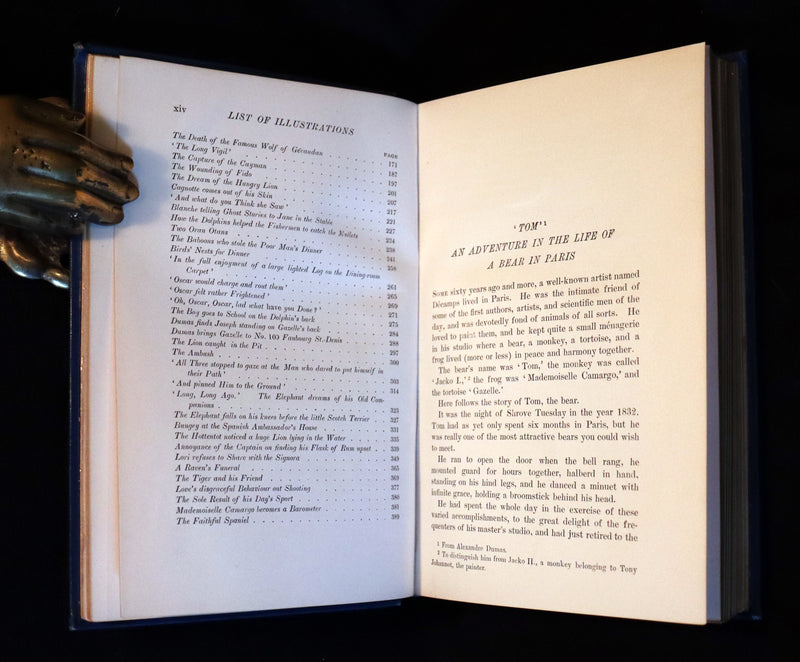 1896 First Edition Book - The Animal Story Book by Andrew Lang Illustrated by H. J. FORD.