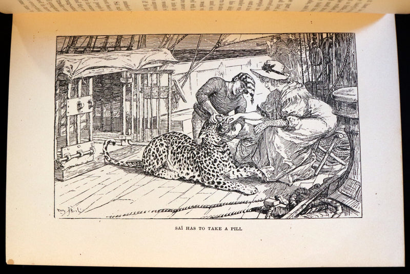 1896 First Edition Book - The Animal Story Book by Andrew Lang Illustrated by H. J. FORD.