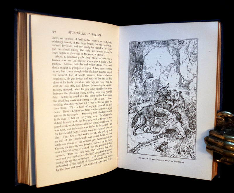 1896 First Edition Book - The Animal Story Book by Andrew Lang Illustrated by H. J. FORD.