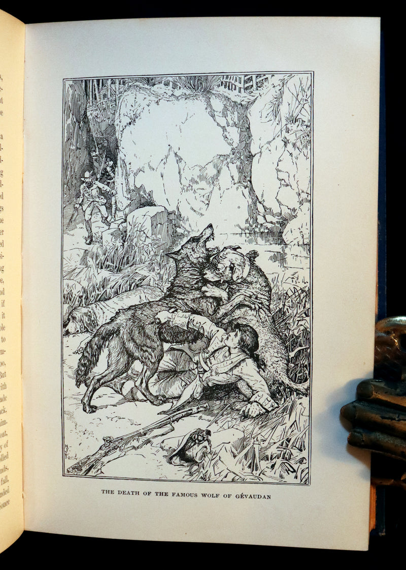 1896 First Edition Book - The Animal Story Book by Andrew Lang Illustrated by H. J. FORD.