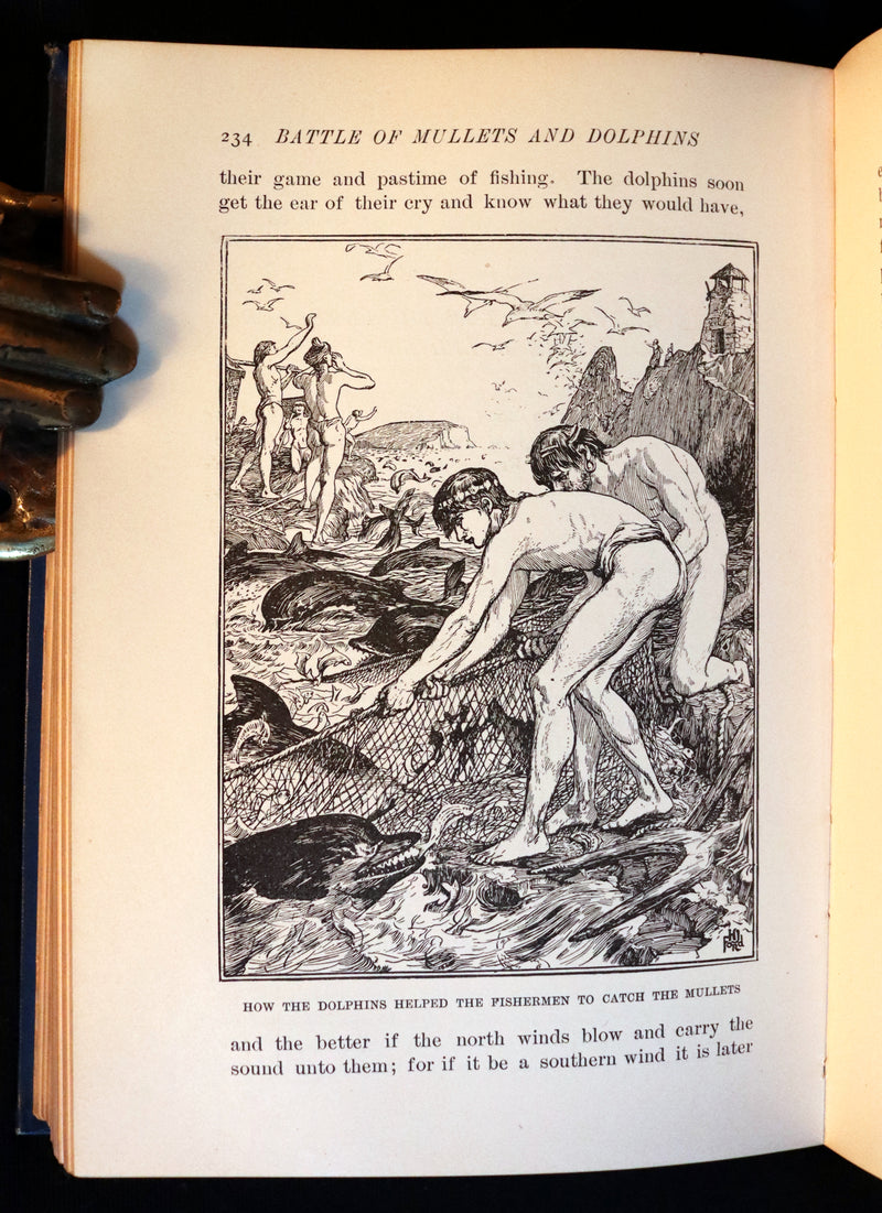 1896 First Edition Book - The Animal Story Book by Andrew Lang Illustrated by H. J. FORD.