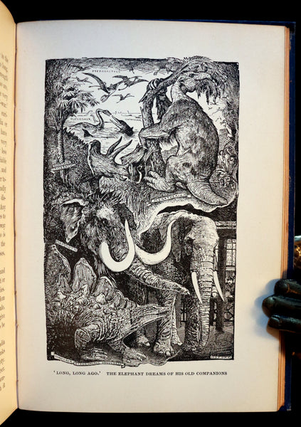1896 First Edition Book - The Animal Story Book by Andrew Lang Illustrated by H. J. FORD.