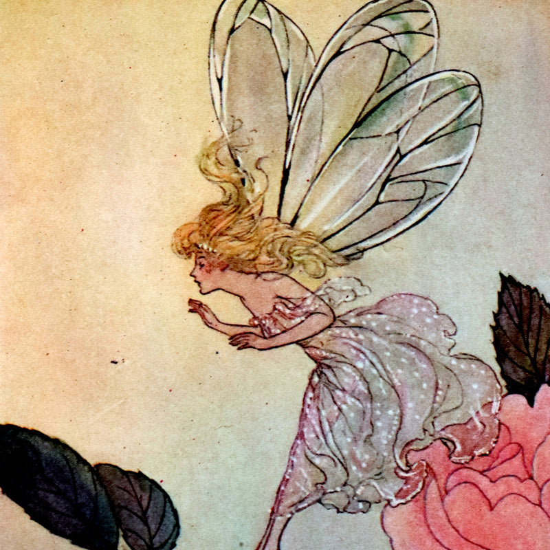 1922 Scarce George W. Jacobs Edition - Andersen's FLOWER MAIDEN illustrated by Elenore Abbott.