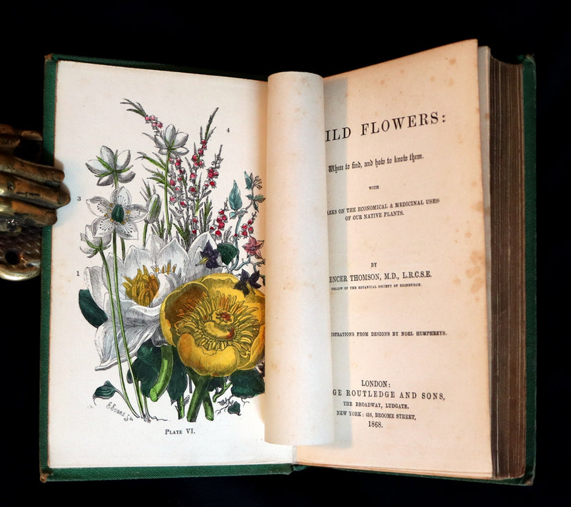 1868 Rare Book - Wild Flowers and Medicinal Uses color Illustrated by Noel Humphreys.