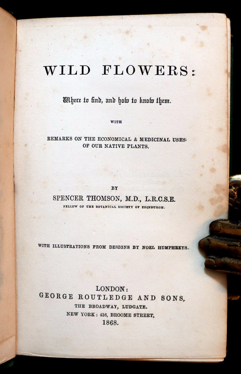 1868 Rare Book - Wild Flowers and Medicinal Uses color Illustrated by Noel Humphreys.