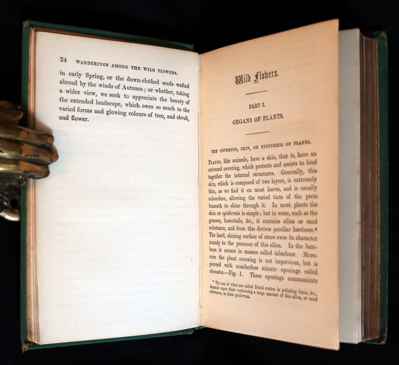 1868 Rare Book - Wild Flowers and Medicinal Uses color Illustrated by Noel Humphreys.