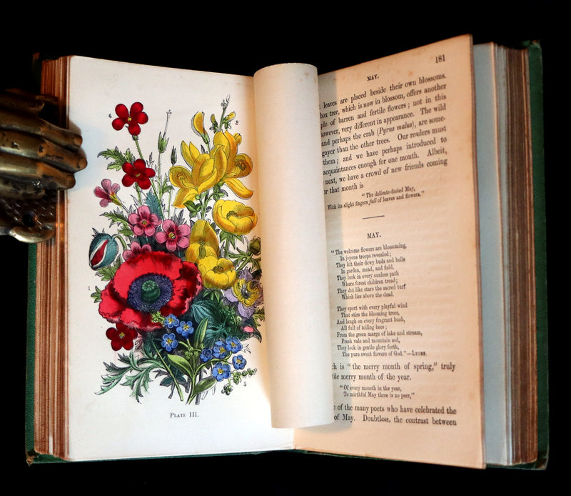 1868 Rare Book - Wild Flowers and Medicinal Uses color Illustrated by Noel Humphreys.
