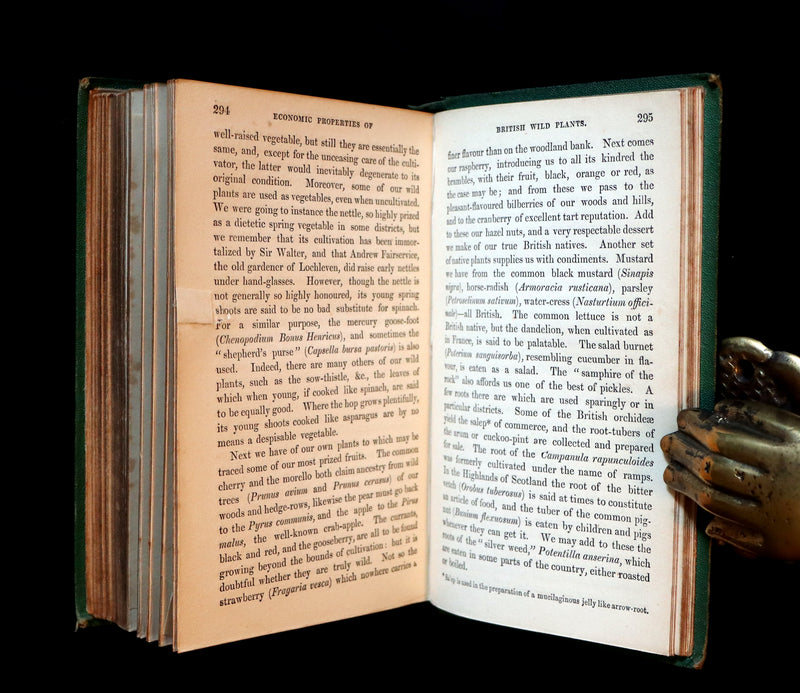 1868 Rare Book - Wild Flowers and Medicinal Uses color Illustrated by Noel Humphreys.