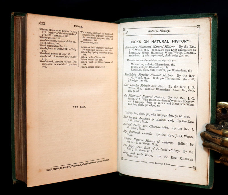 1868 Rare Book - Wild Flowers and Medicinal Uses color Illustrated by Noel Humphreys.