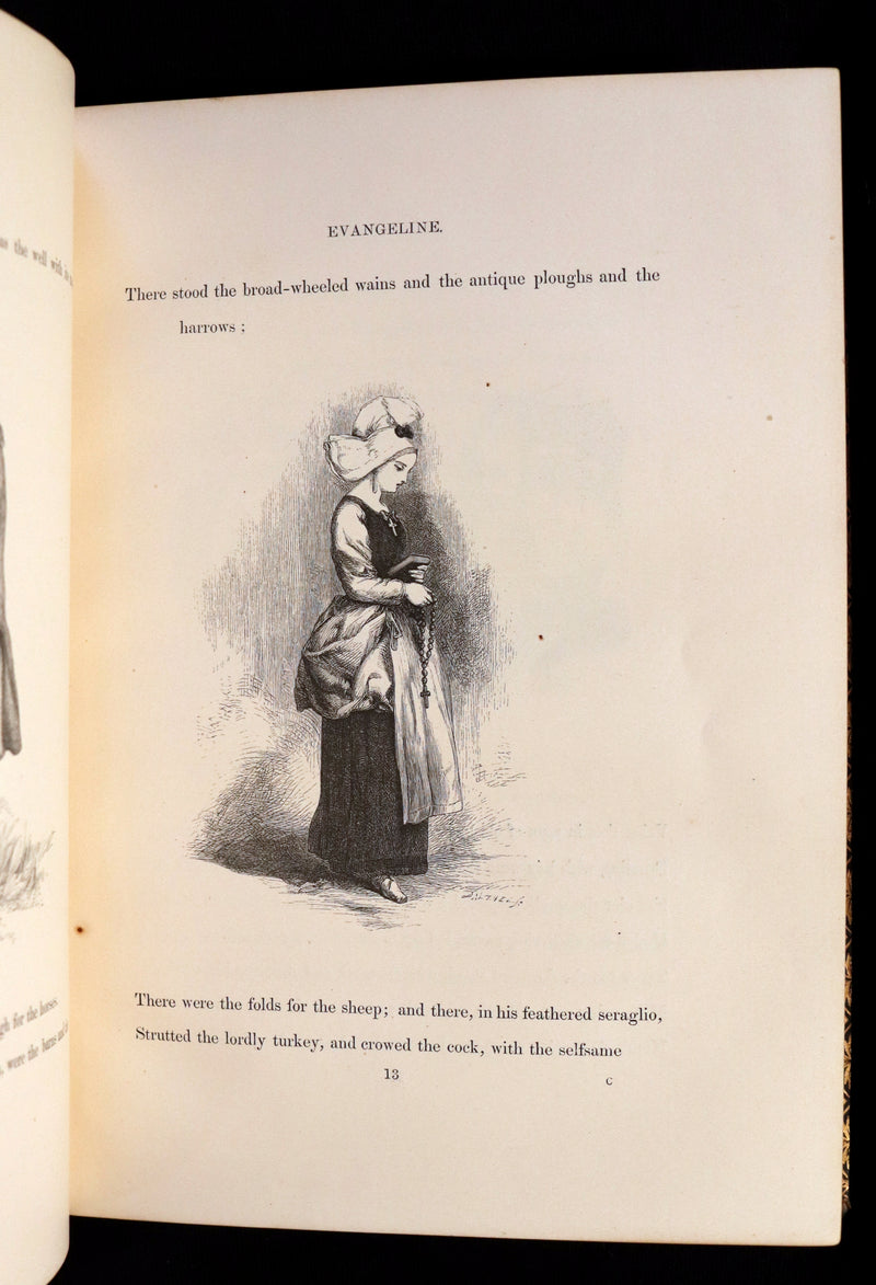 1856 Rare Victorian Book - EVANGELINE - A tale of Acadie by Henry Wadsworth Longfellow. Illustrated.
