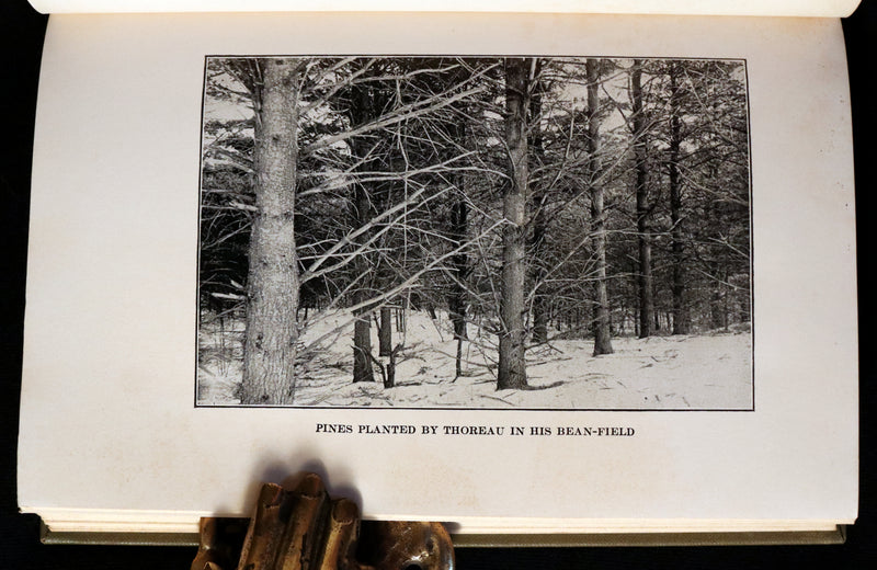 1893 Scarce Edition - WALDEN or, Life in the Woods by Henry David Thoreau with Photogravures.