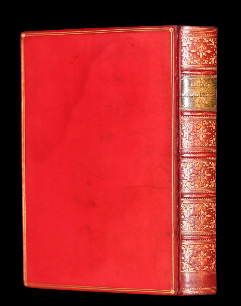 1899 Rare First Edition - The RED BOOK of ANIMAL STORIES by Andrew Lang Illustrated by H.J. FORD.
