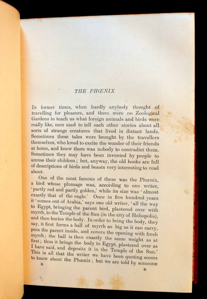 1899 Rare First Edition - The RED BOOK of ANIMAL STORIES by Andrew Lang Illustrated by H.J. FORD.