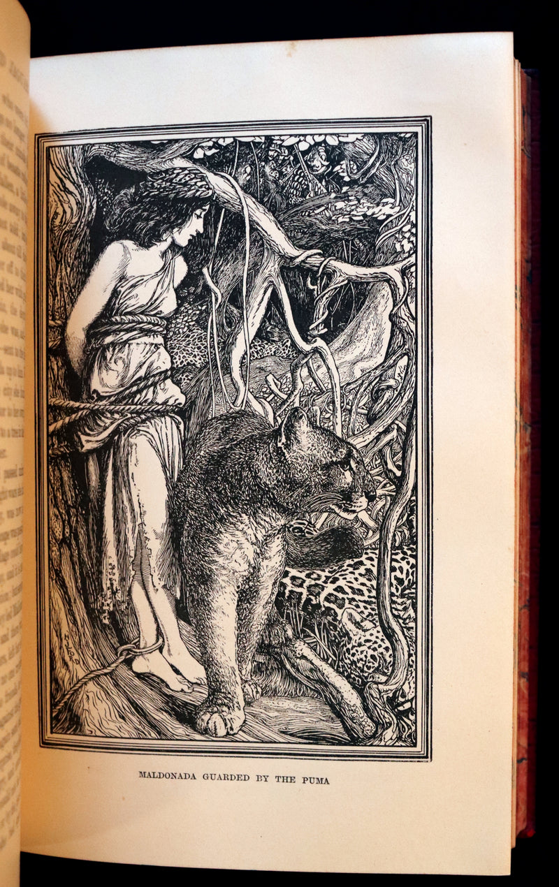 1899 Rare First Edition - The RED BOOK of ANIMAL STORIES by Andrew Lang Illustrated by H.J. FORD.