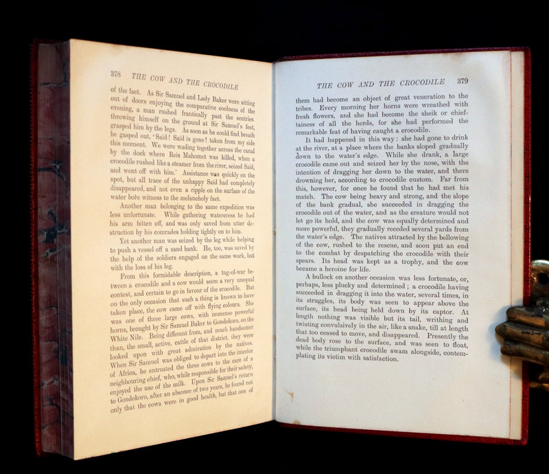 1899 Rare First Edition - The RED BOOK of ANIMAL STORIES by Andrew Lang Illustrated by H.J. FORD.