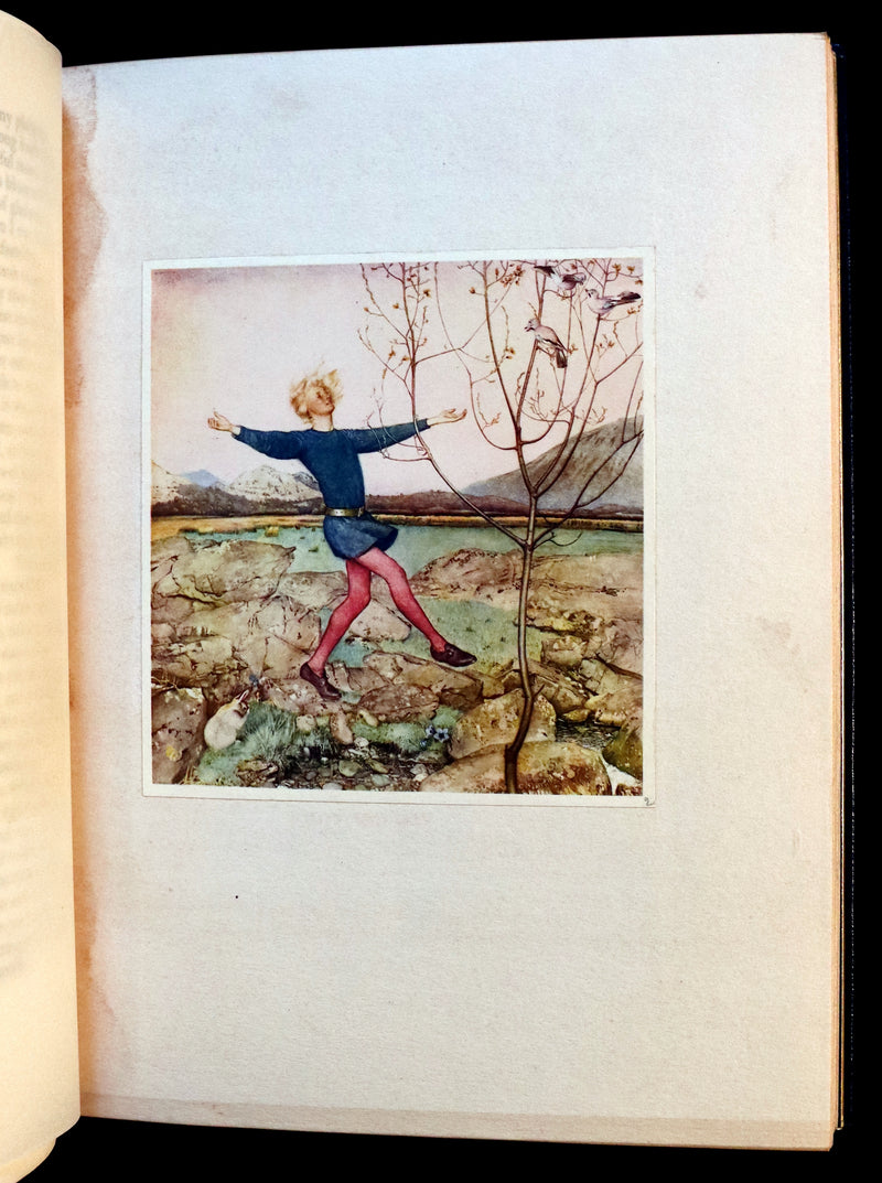 1911 First Illustrated Edition bound by Booklover's Shop - The Romaunt of the Rose by Chaucer. Medieval Poem.