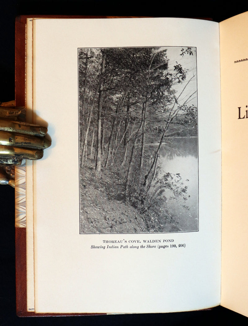 1906 Beautiful Edition bound by SANGORSKI - WALDEN or Life in the Woods by Henry David Thoreau with Photographs.