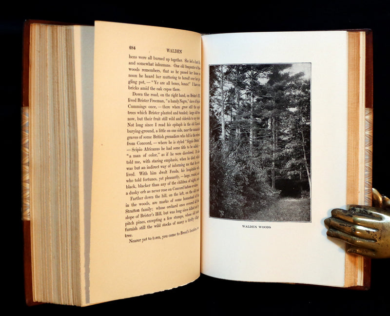 1906 Beautiful Edition bound by SANGORSKI - WALDEN or Life in the Woods by Henry David Thoreau with Photographs.