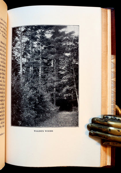 1906 Beautiful Edition bound by SANGORSKI - WALDEN or Life in the Woods by Henry David Thoreau with Photographs.