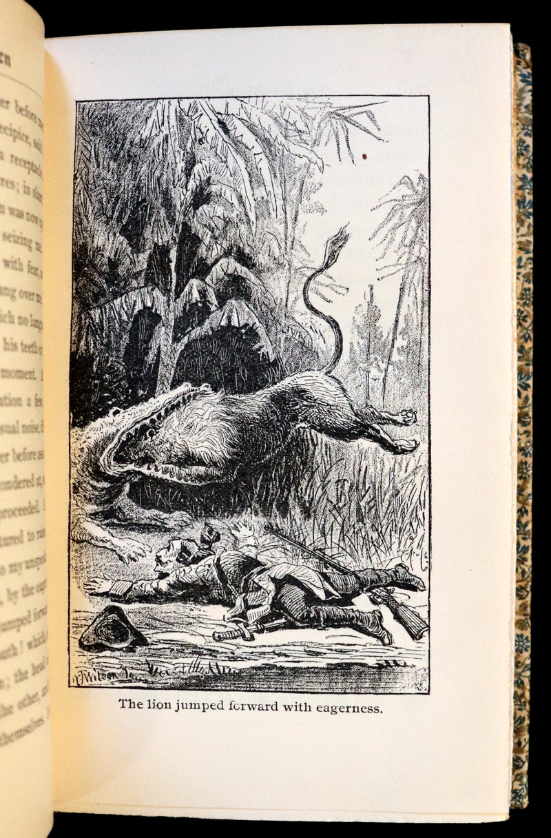 1890 Rare Book - The ADVENTURES of Baron MUNCHAUSEN profusely illustrated.