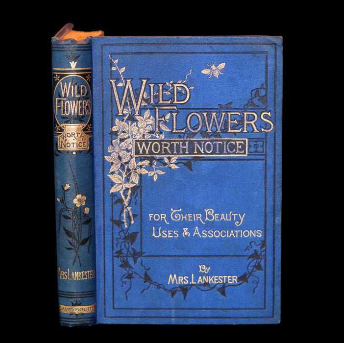 1879 Rare Victorian Book - WILD FLOWERS Worth Notice by British Botanist Phoebe Lankester. Illustrated.