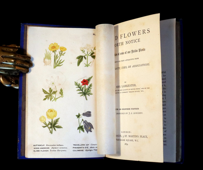 1879 Rare Victorian Book - WILD FLOWERS Worth Notice by British Botanist Phoebe Lankester. Illustrated.