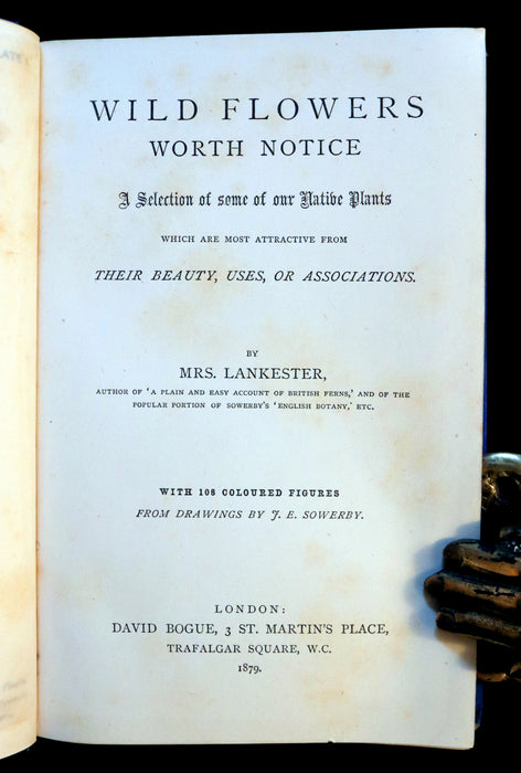 1879 Rare Victorian Book - WILD FLOWERS Worth Notice by British Botanist Phoebe Lankester. Illustrated.