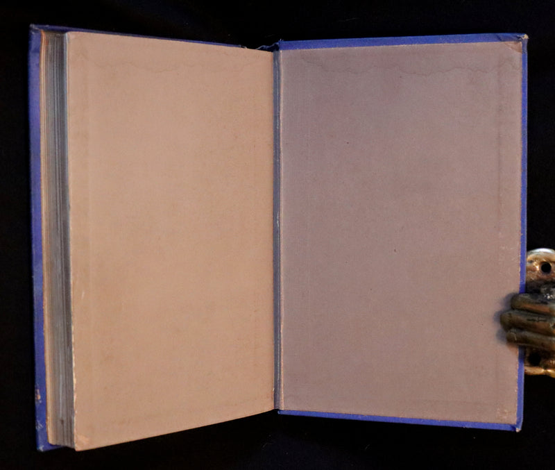 1879 Rare Victorian Book - WILD FLOWERS Worth Notice by British Botanist Phoebe Lankester. Illustrated.