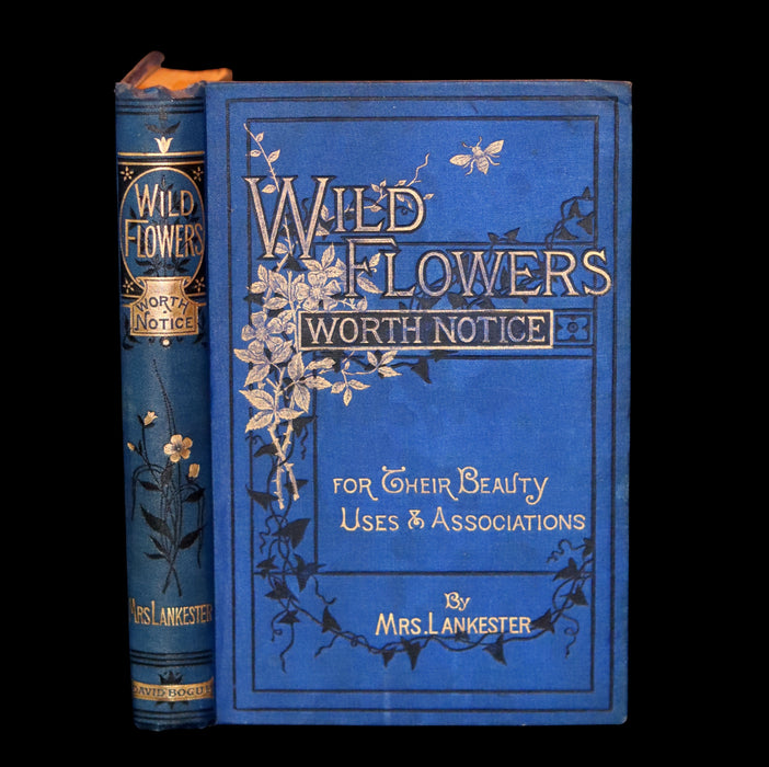 1879 Rare Victorian Book - WILD FLOWERS Worth Notice by British Botanist Phoebe Lankester. Illustrated.