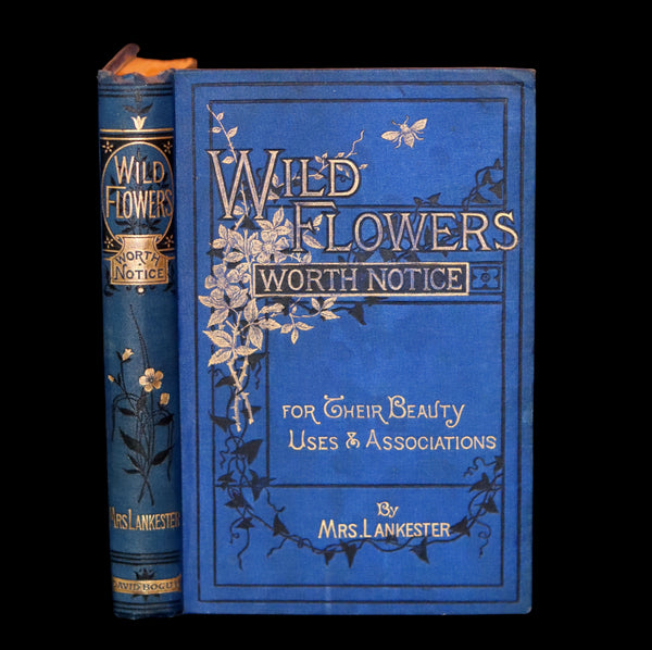 1879 Rare Victorian Book - WILD FLOWERS Worth Notice by British Botanist Phoebe Lankester. Illustrated.