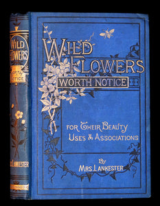 1879 Rare Victorian Book - WILD FLOWERS Worth Notice by British Botanist Phoebe Lankester. Illustrated.