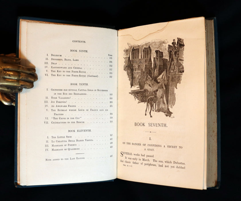 1895 Rare Book set - Notre-Dame de Paris - The Hunchback of Notre-Dame by Victor Hugo. Gothic.