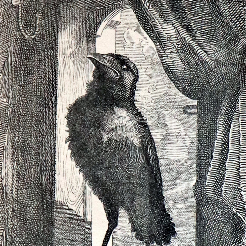 1892 Rare Book - The POEMS Of EDGAR ALLAN POE with An Essay on His Poetry by ANDREW LANG.