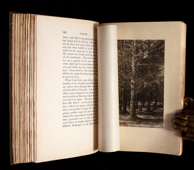 1902 Scarce Edition - WALDEN or, Life in the Woods by Henry David Thoreau with 28 Illustrations.