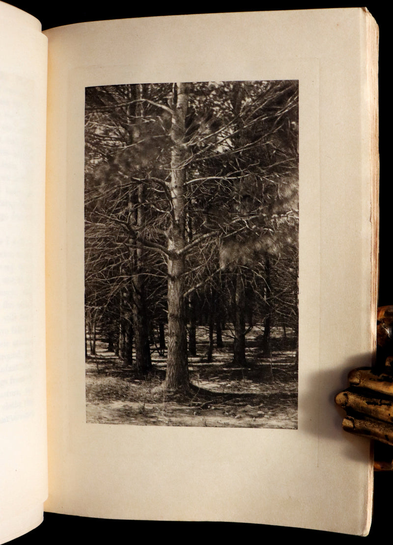 1902 Scarce Edition - WALDEN or, Life in the Woods by Henry David Thoreau with 28 Illustrations.