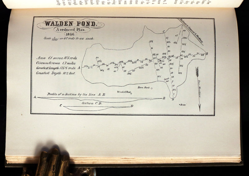 1902 Scarce Edition - WALDEN or, Life in the Woods by Henry David Thoreau with 28 Illustrations.