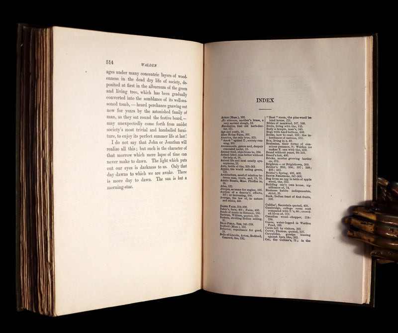 1902 Scarce Edition - WALDEN or, Life in the Woods by Henry David Thoreau with 28 Illustrations.