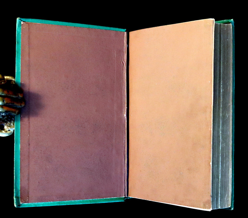 1881 Scarce Victorian Book - The LANGUAGE of FLOWERS and FLORAL POESY. A Book for All Seasons.