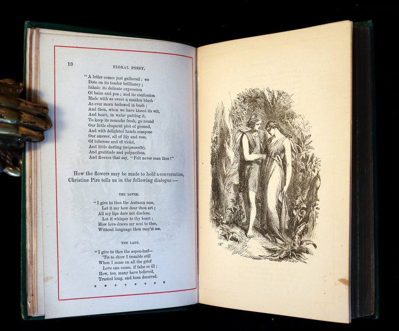 1881 Scarce Victorian Book - The LANGUAGE of FLOWERS and FLORAL POESY. A Book for All Seasons.