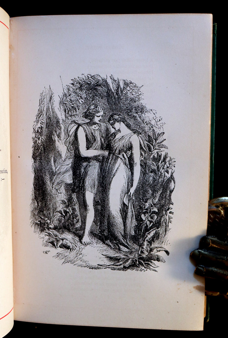1881 Scarce Victorian Book - The LANGUAGE of FLOWERS and FLORAL POESY. A Book for All Seasons.