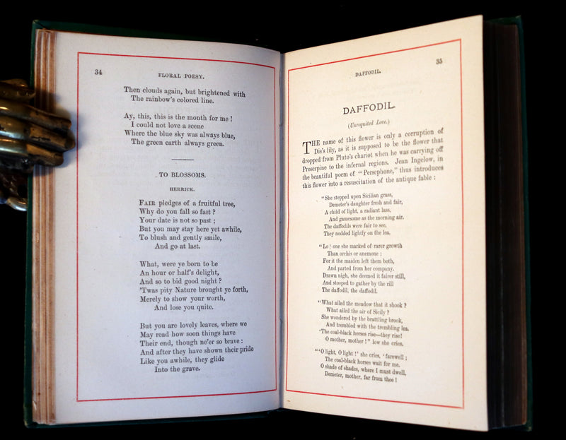 1881 Scarce Victorian Book - The LANGUAGE of FLOWERS and FLORAL POESY. A Book for All Seasons.