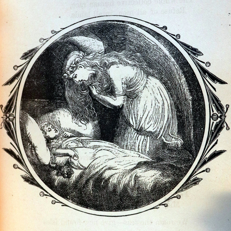 1881 Scarce Victorian Book - The LANGUAGE of FLOWERS and FLORAL POESY. A Book for All Seasons.