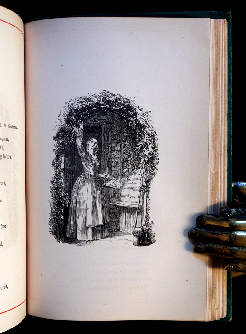 1881 Scarce Victorian Book - The LANGUAGE of FLOWERS and FLORAL POESY. A Book for All Seasons.