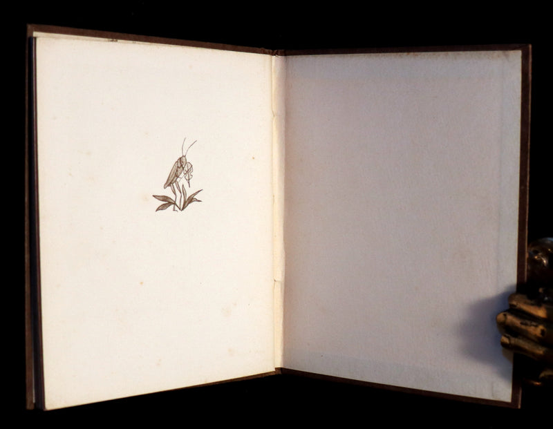 1936 Scarce First Edition - THE GNOME'S ALMANACK by Ida Bohatta.