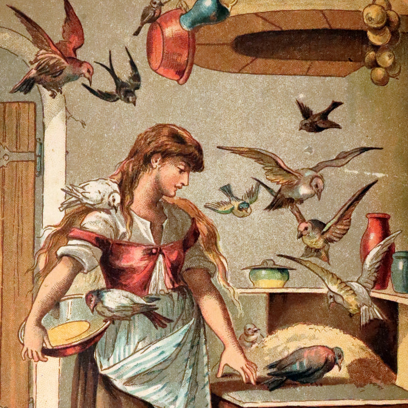 1896 Scarce Victorian Book - The Brothers Grimm's FAIRY TALES and Household Stories, illustrated.