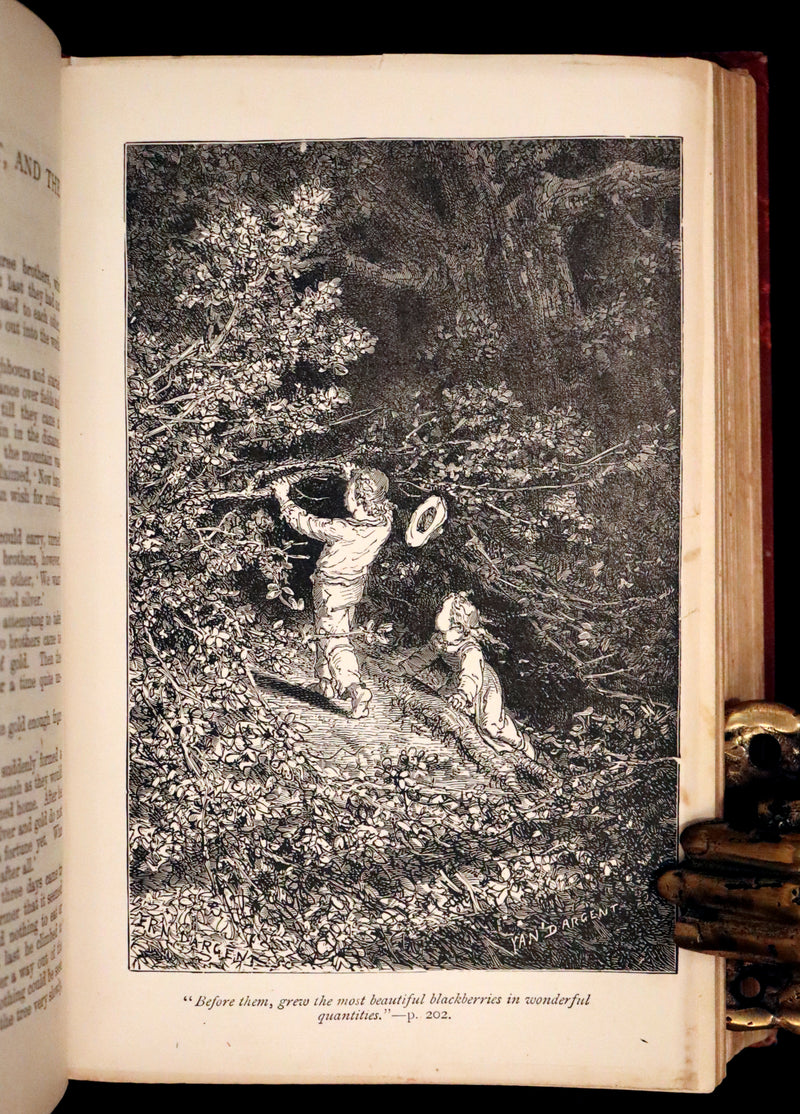 1896 Scarce Victorian Book - The Brothers Grimm's FAIRY TALES and Household Stories, illustrated.